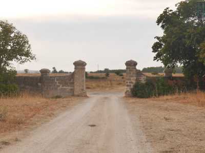 Dopo aver varcato due colonne si apre una stradina sterrata che conduce all�edificio...
